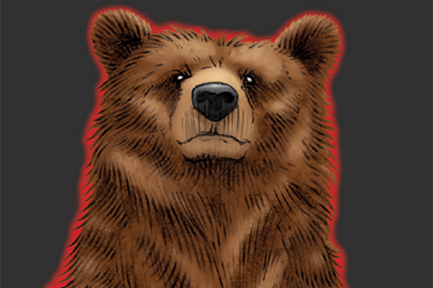 Haraszthy Family Cellars bear drawing